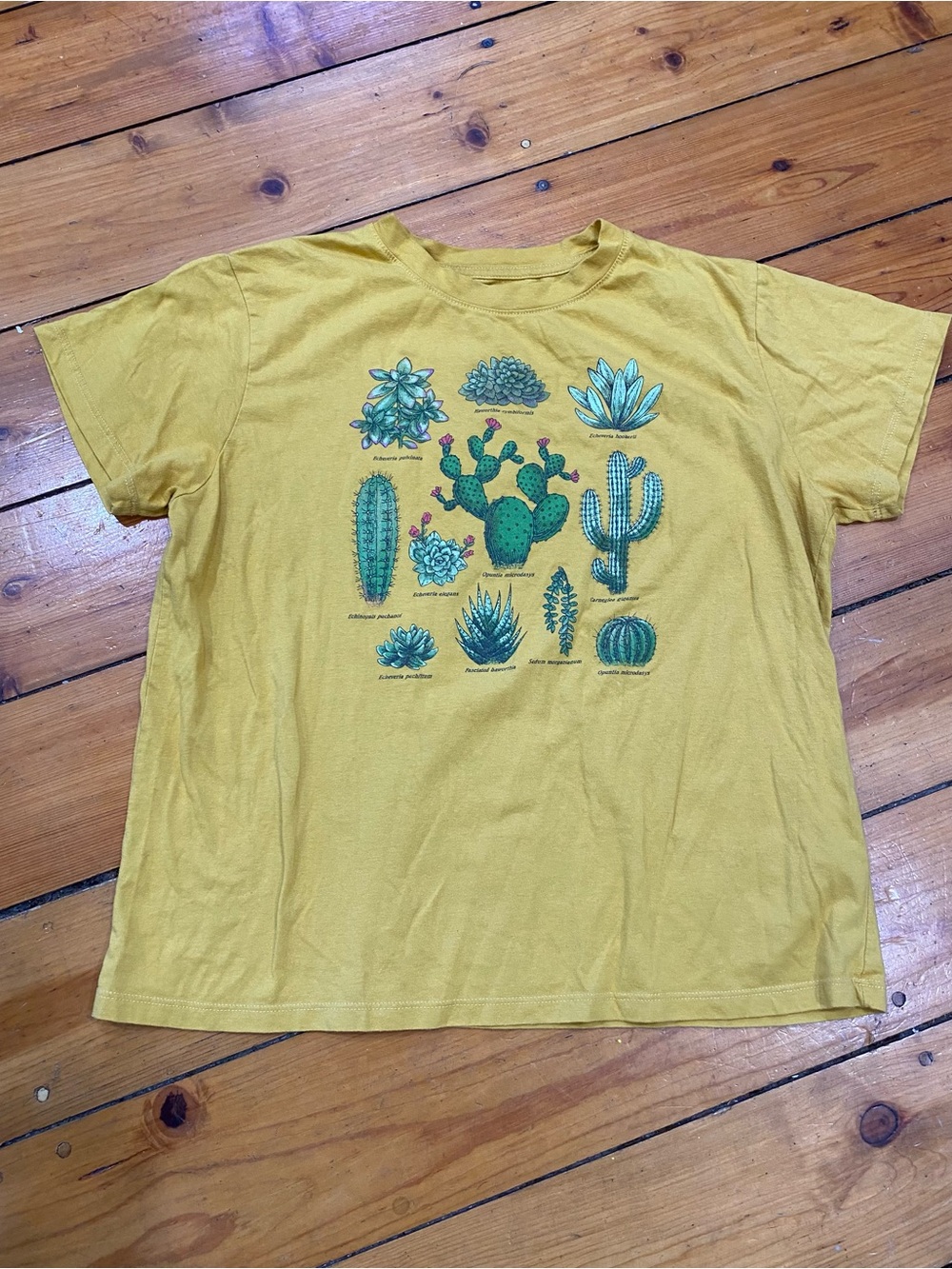 Fifth Sun Mustard Tee with Green Cactus & Succulent Graphics size XL